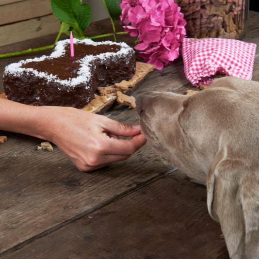 Super delicious bone-shaped cake - A healthy choice for meat-lovers