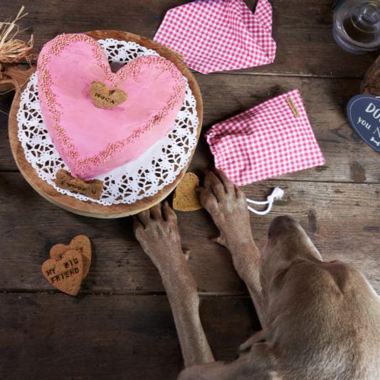 My heart Is Yours - Dog cake