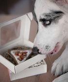 Doggie Pizza