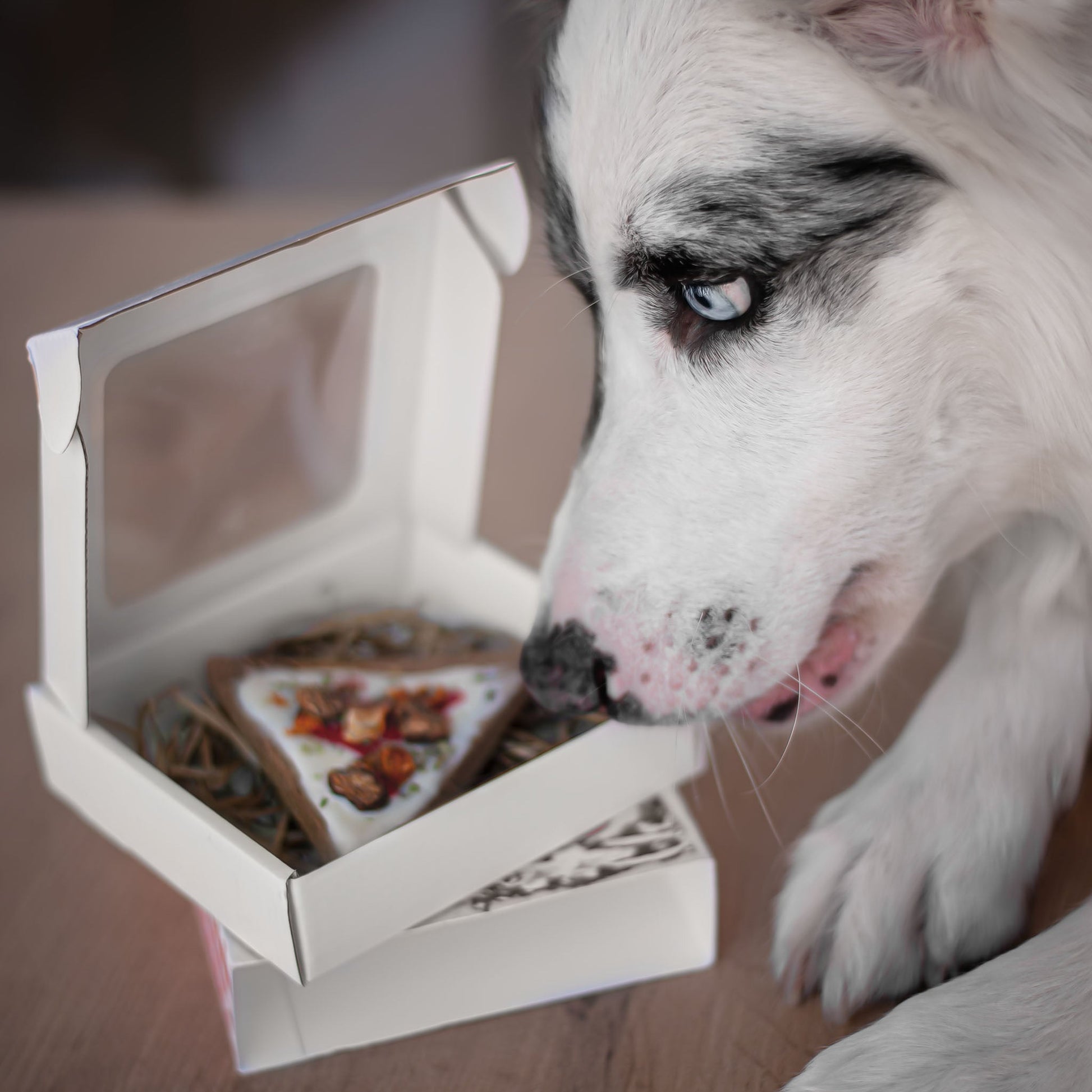 Doggie Pizza