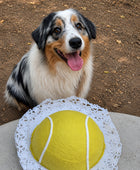 Sports Cake