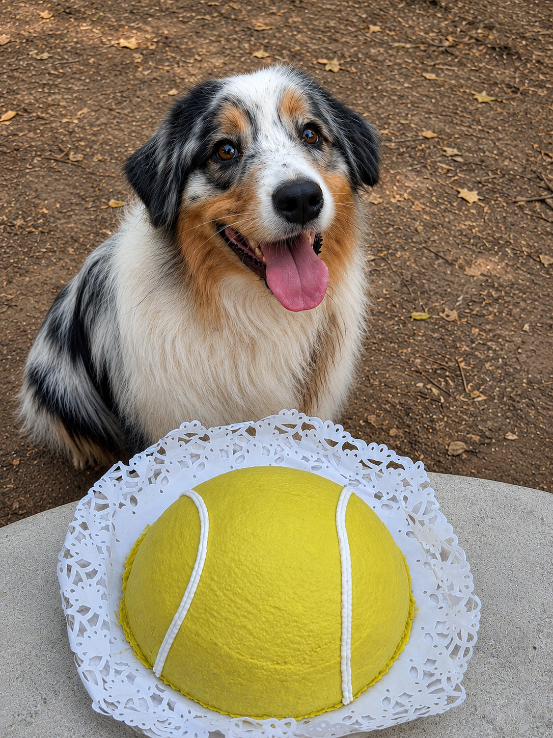Sports Cake
