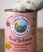 Real Salmon, Carrots & Spinach