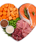 Fresh Salmon & Carrots