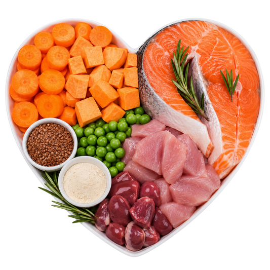 Fresh Salmon & Carrots