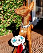 Halloween - Count Dogcula Dog Toy