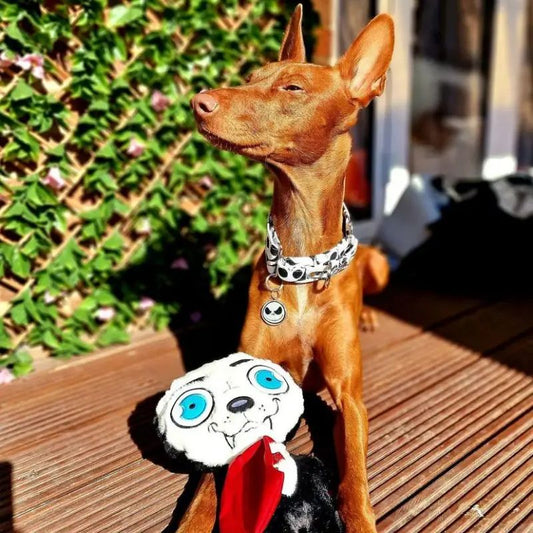 Halloween - Count Dogcula Dog Toy