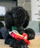 Holiday Truck - Toy