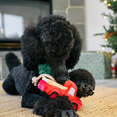 Holiday Truck - Toy