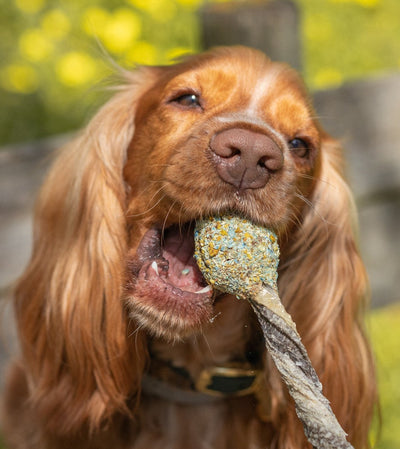 'Paw Pop' – Handmade Celebration Treat