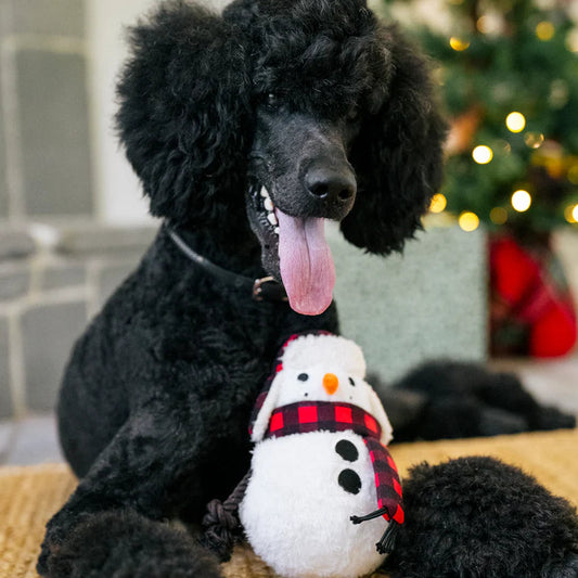 Boneco de Neve - Brinquedo
