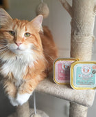 Beef Pâté for cats