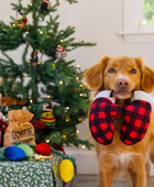 Paw Warmers - Toy