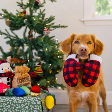 Paw Warmers - Toy