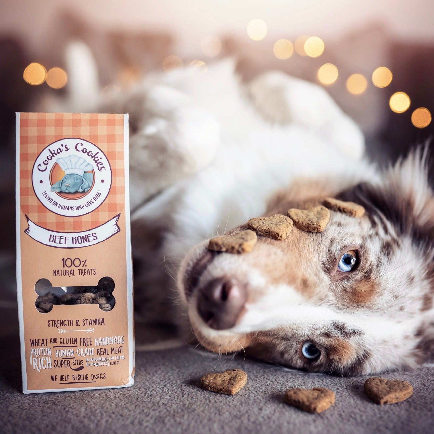 Homemade dog treats by Cooka's Cookies