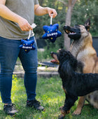 Balão de festa - Brinquedo
