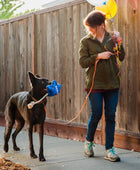 Balão de festa - Brinquedo