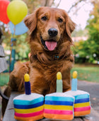 Bolo de Aniversário - Brinquedo