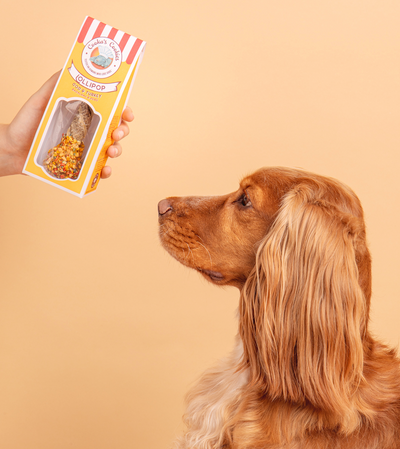 'Paw Pop' – Handmade Celebration Treat
