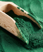 Spirulina verde