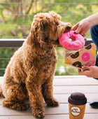 Pink Donut - Toy
