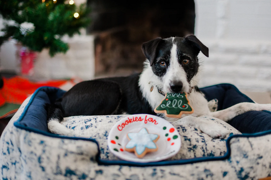 Cookies for Santa - Toy