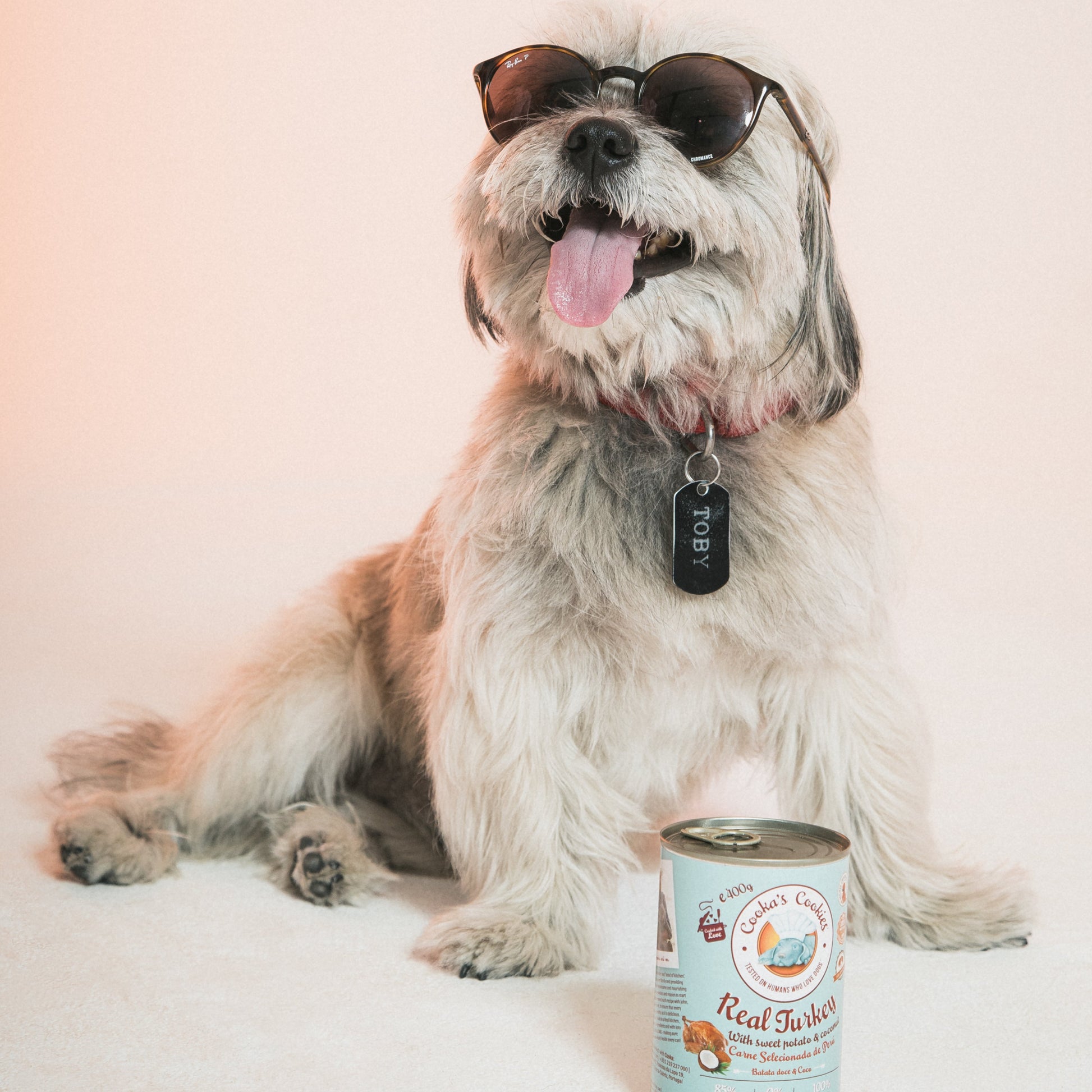 Real Turkey, Sweet Potato & Coconut