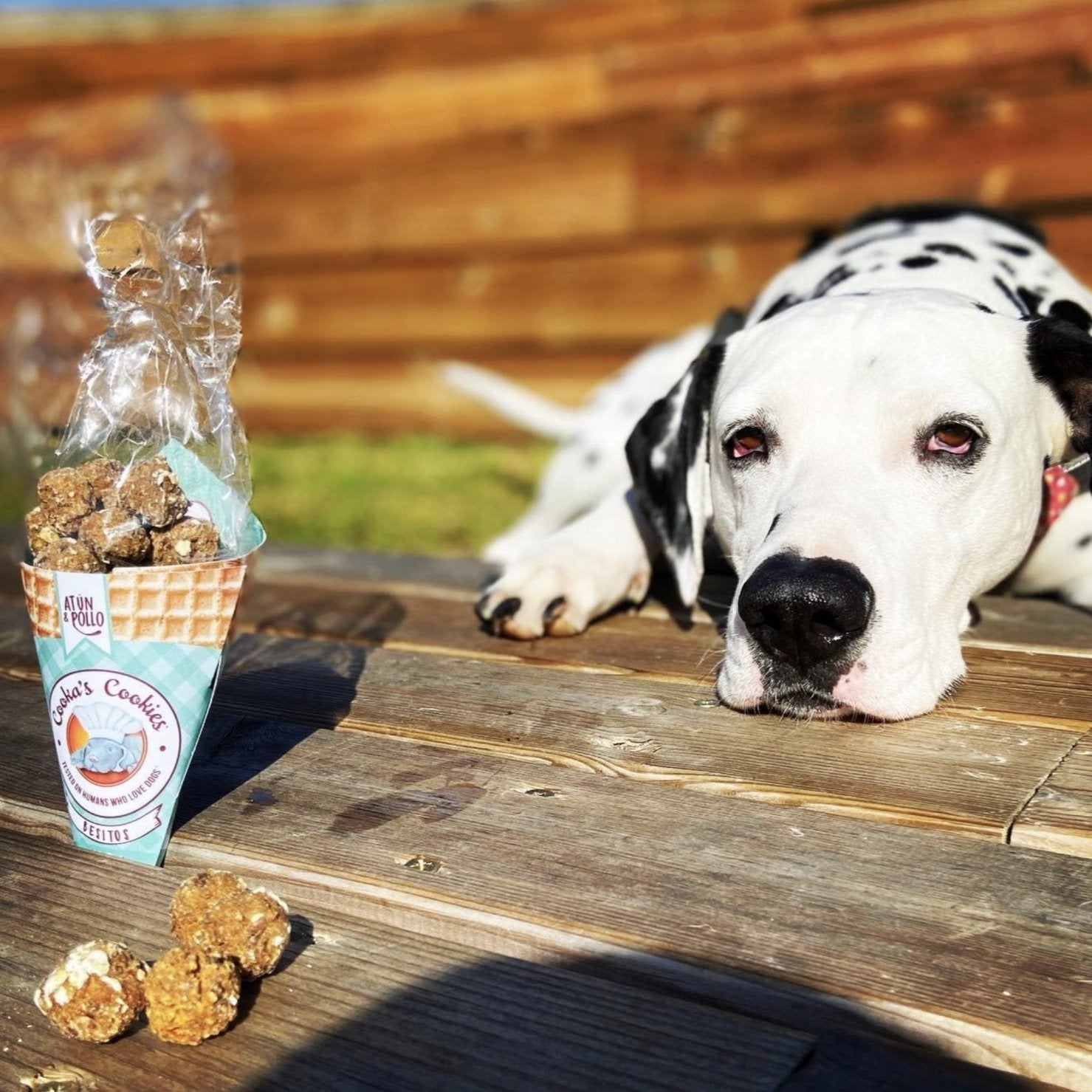 Tuna & Chicken Beijinhos