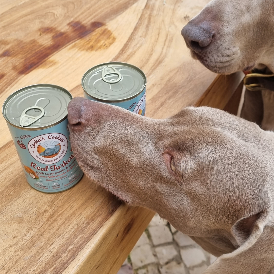 Real Turkey, Sweet Potato & Coconut