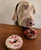 Choco Berry Dog Donuts
