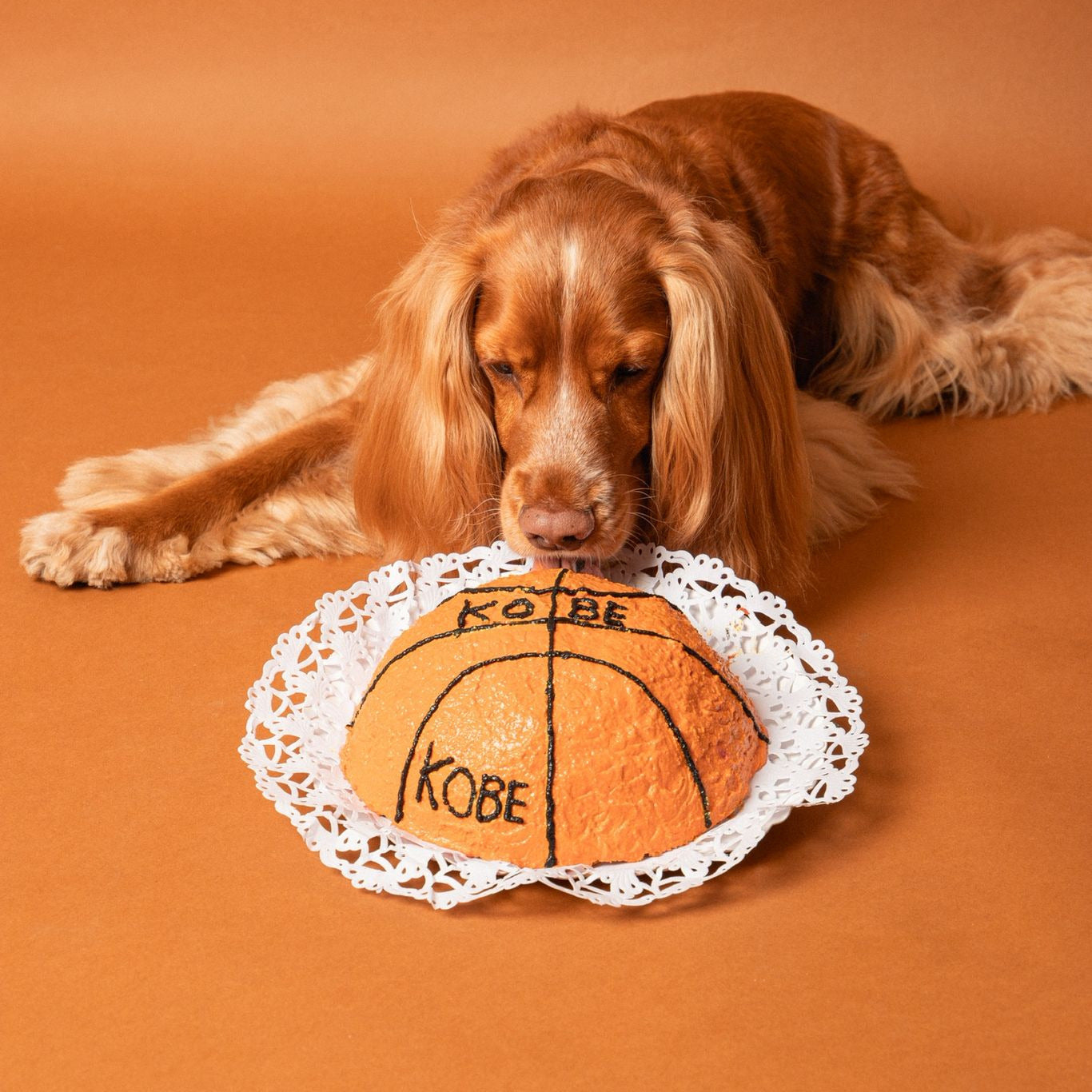 Sports Cake