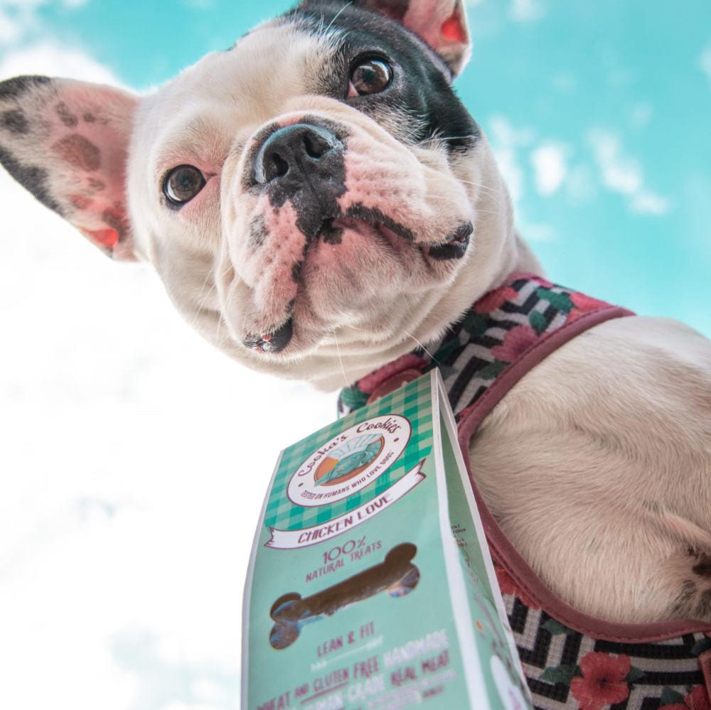 Homemade dog treats by Cooka's Cookies