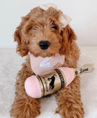 Amor Borbulhante - Brinquedo Muttscato