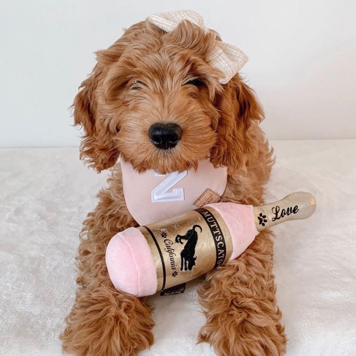 Amor Borbulhante - Brinquedo Muttscato