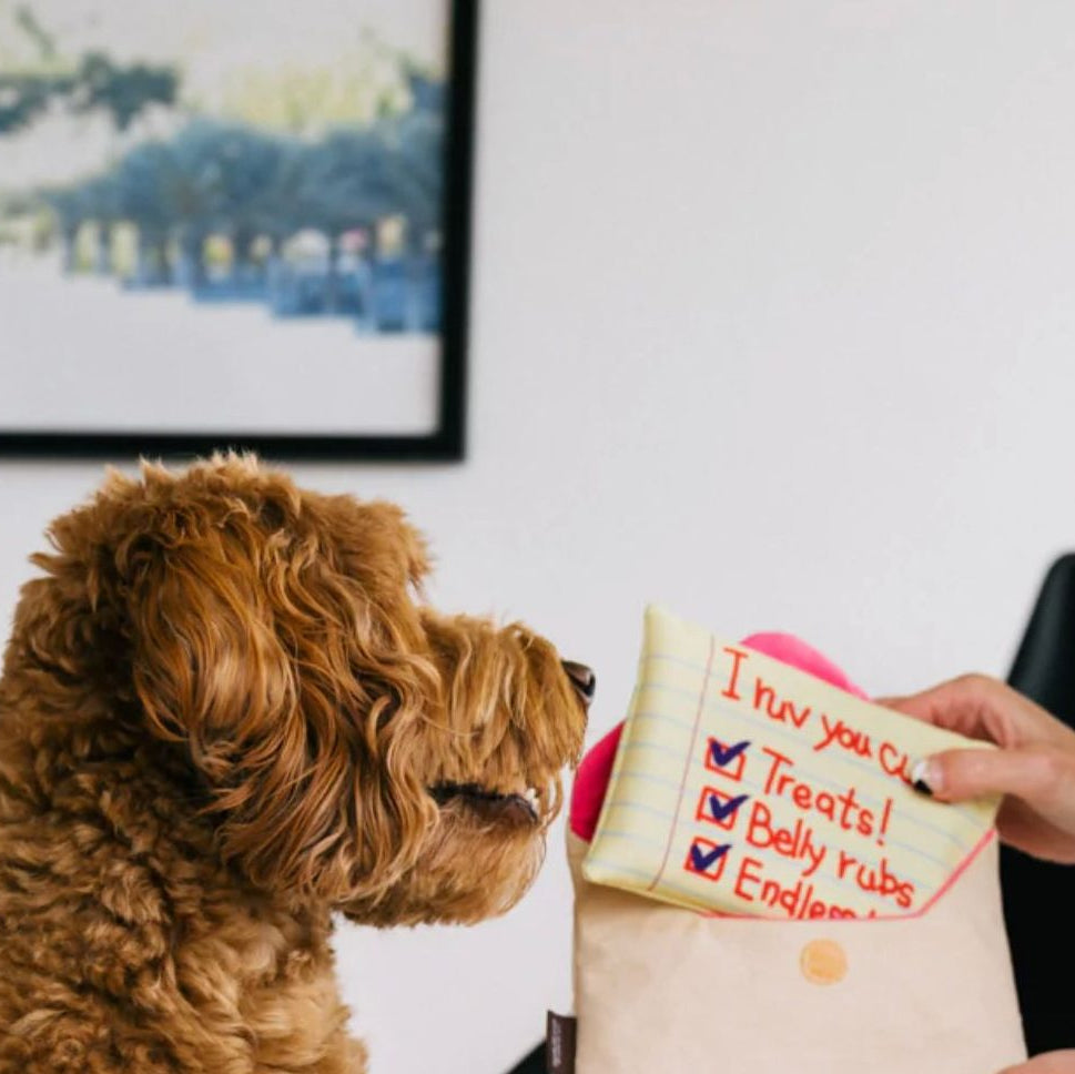 Carta de Amor - Peluche