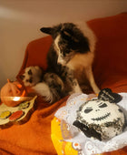 Skull Cake