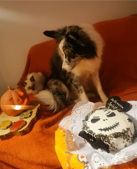 Skull Cake