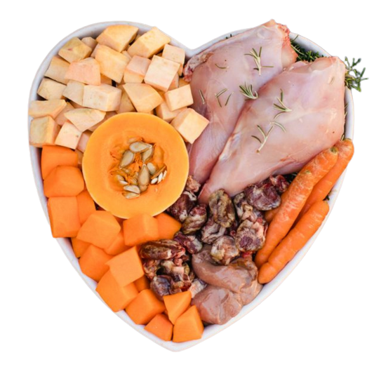 Slow Rabbit & Pumpkin