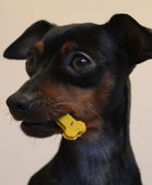 Ruby from Lana Royals