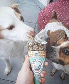 Tuna & Chicken Beijinhos