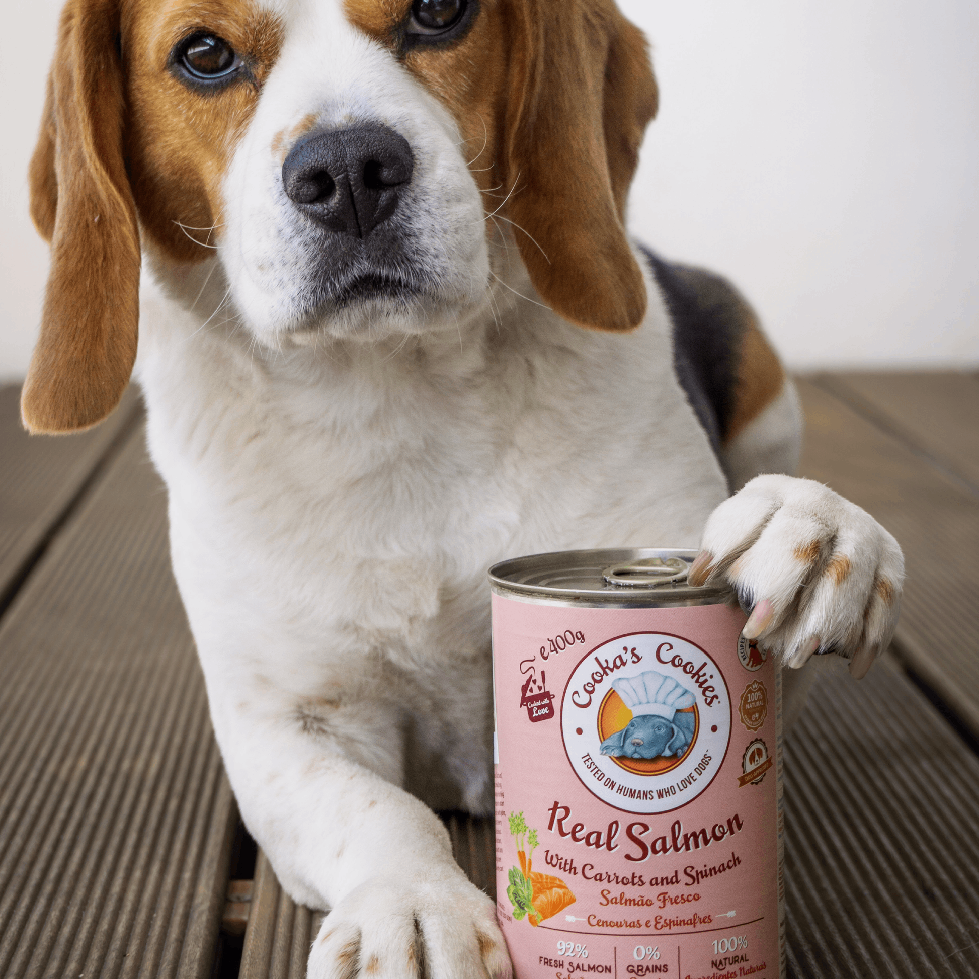 Real Salmon, Carrots & Spinach