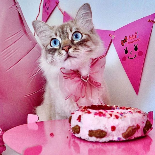 Pequenos Despedaçadores de Corações