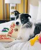 Carta de Amor - Peluche