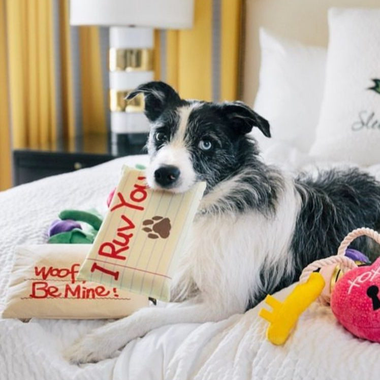 Carta de Amor - Peluche