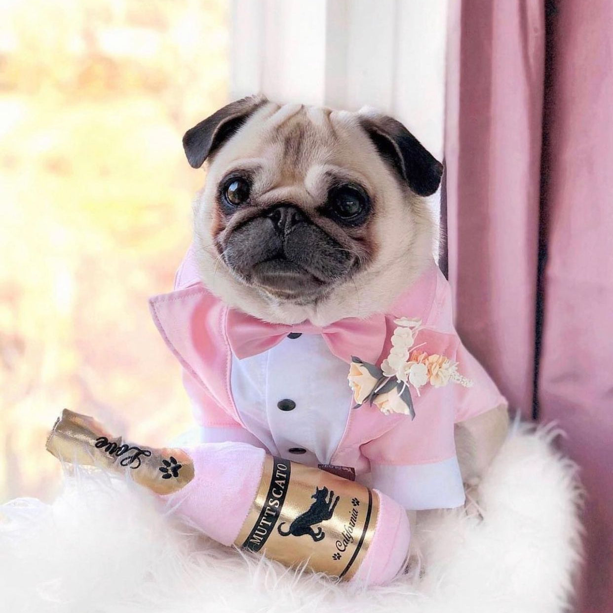 Amor Borbulhante - Brinquedo Muttscato