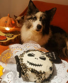 Skull Cake