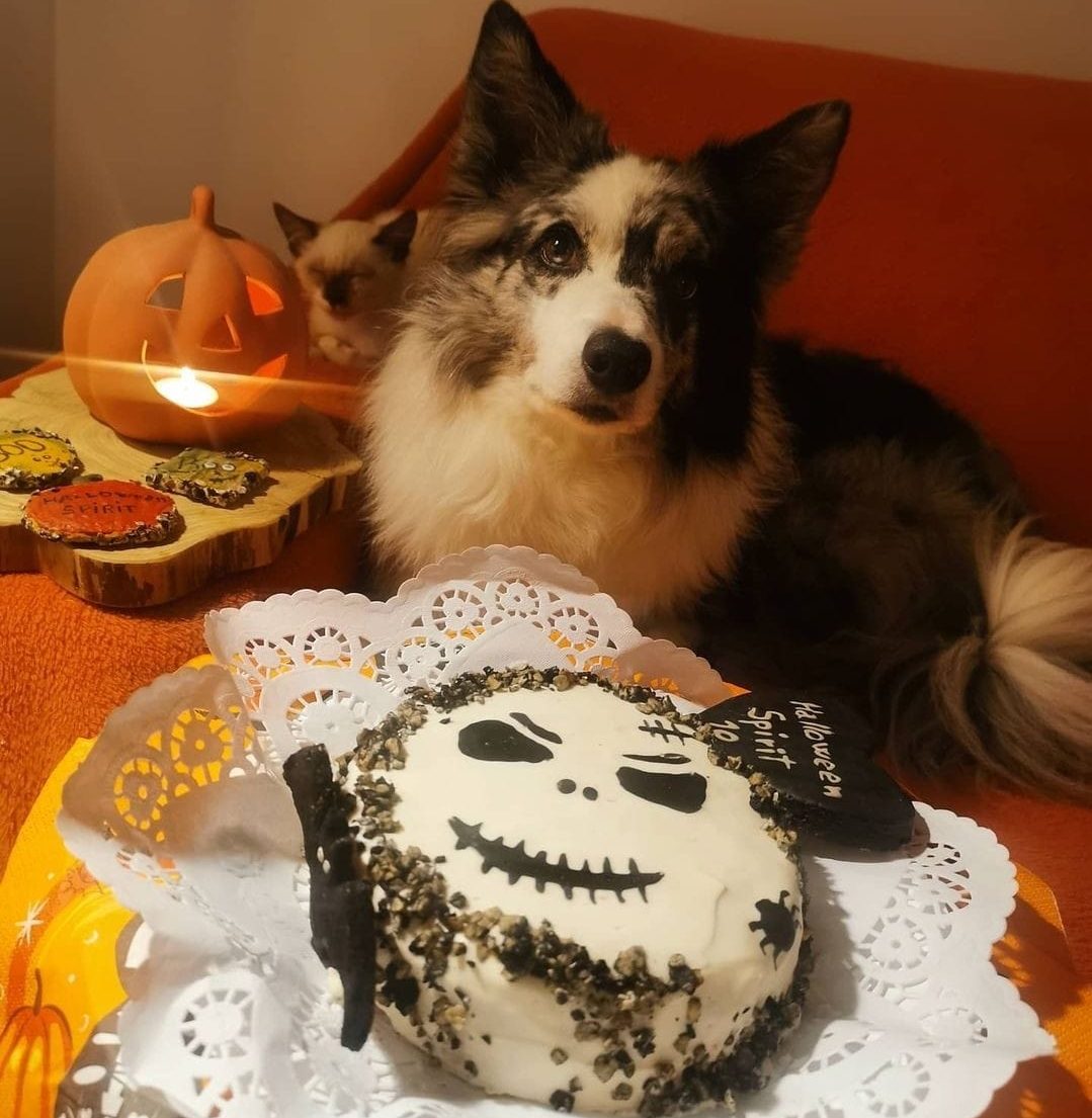 Skull Cake
