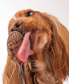 Real Pork, Forest Berries & Potato