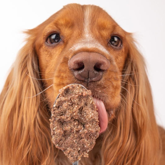 Real Pork, Forest Berries & Potato