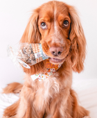 Tuna & Chicken Beijinhos